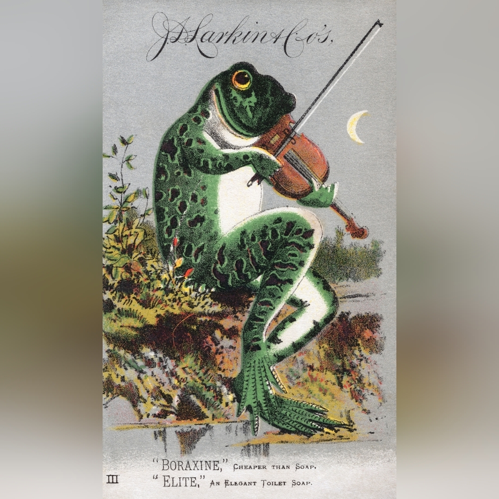 Green Frog Violinist Art Print